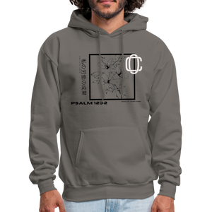 Fruit of Labor Hoodie🍒🍇🍊 - asphalt gray